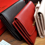 Lady Celtic Pebble Purse